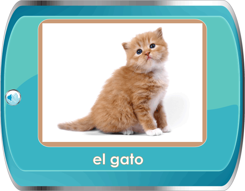 learn about animals in spanish