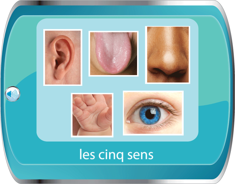 the five senses french