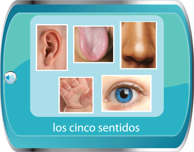 the five senses spanish